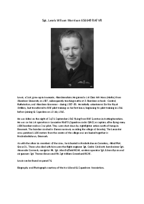 A preview of a PDF biography for Morrison, Lewis Wilson